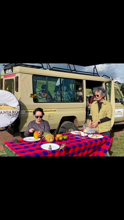 Kilimanjaro Travel